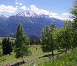 Location de chalet l' Adret à Aussois - été IMGP83444